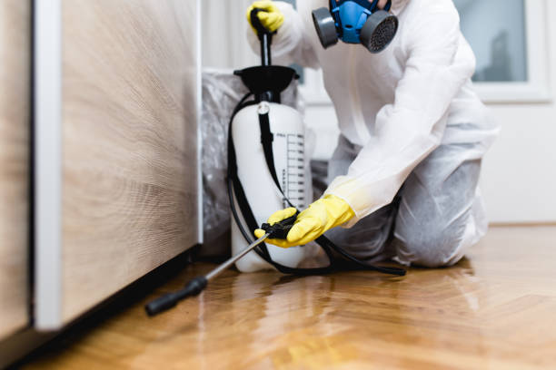 Best Affordable Pest Control Services  in Lakemoor, IL