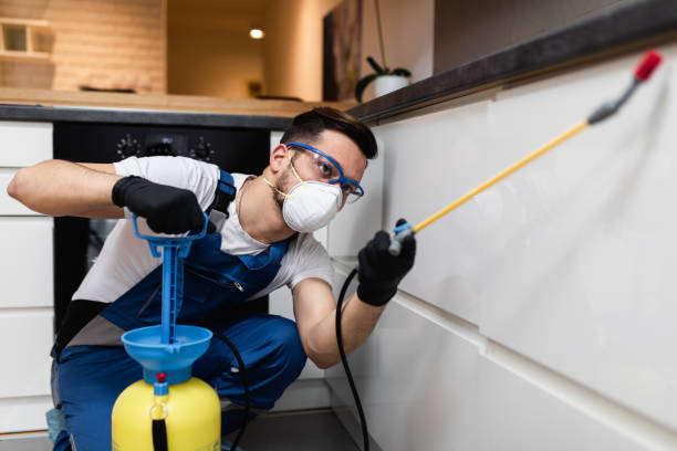 Best Pest Control Near Me  in Lakemoor, IL