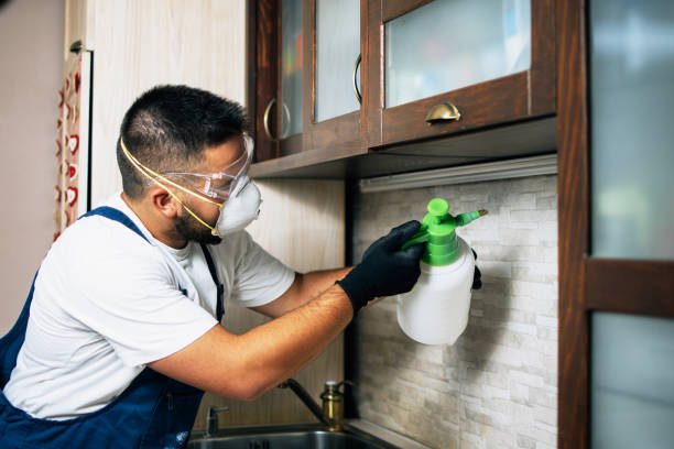 Best Flea Control Services  in Lakemoor, IL