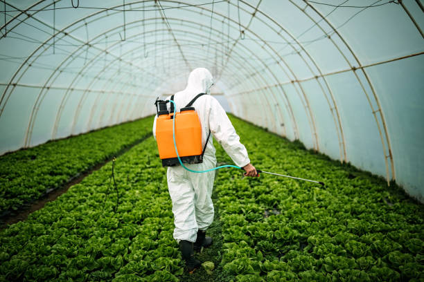 Best Wildlife Control Services  in Lakemoor, IL