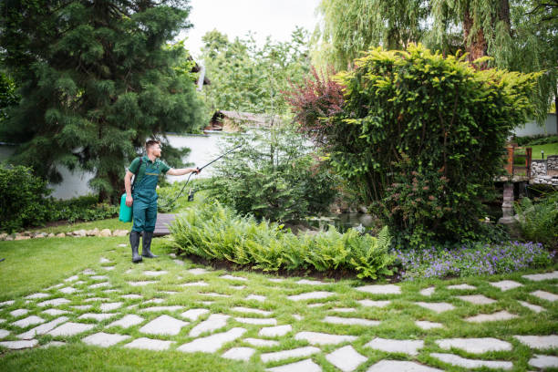 Best Pest Inspection Near Me  in Lakemoor, IL