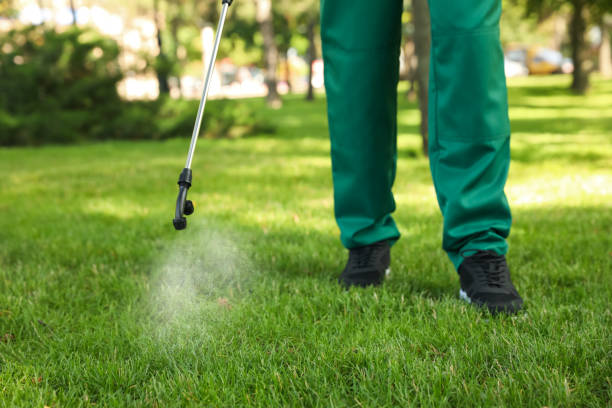 Best Rodent Control Near Me  in Lakemoor, IL