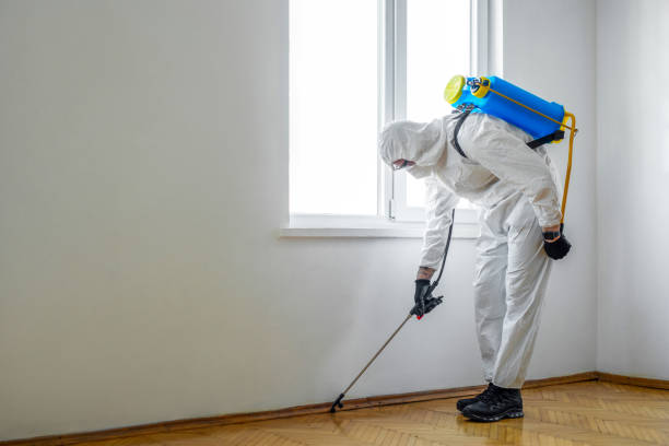 Best Affordable Pest Control Services  in Lakemoor, IL