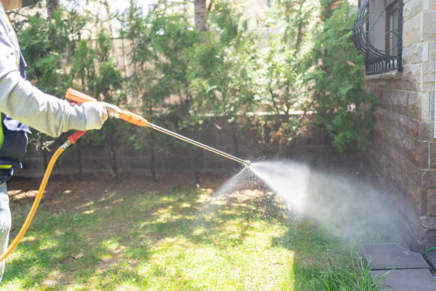 Best Exterminator Services  in Lakemoor, IL