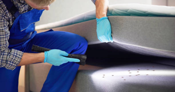 Best Affordable Pest Control Services  in Lakemoor, IL