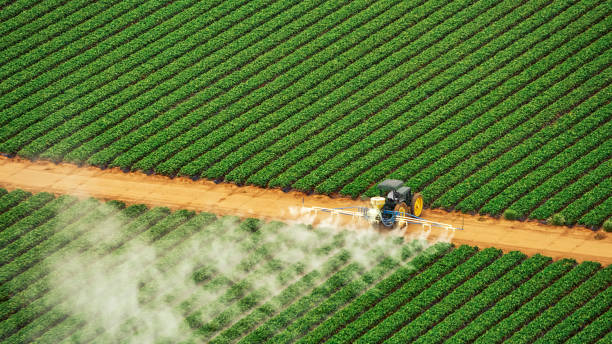 Best Pest Control Cost  in Lakemoor, IL