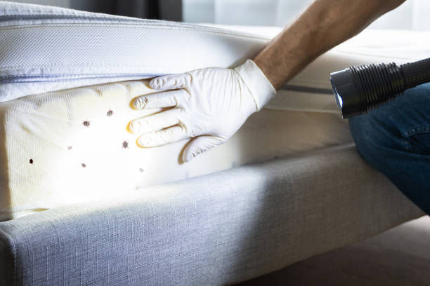 Best Pest Prevention Services  in Lakemoor, IL
