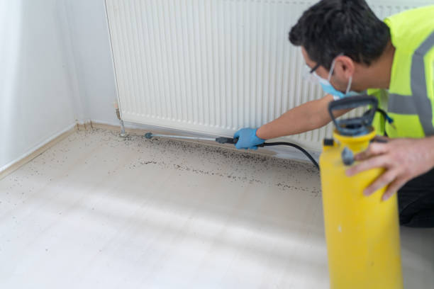 Best Pest Removal Services  in Lakemoor, IL