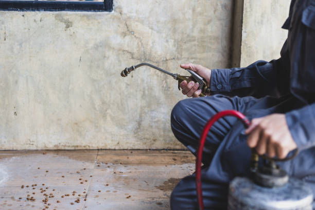 Best Pest Control for Homes  in Lakemoor, IL