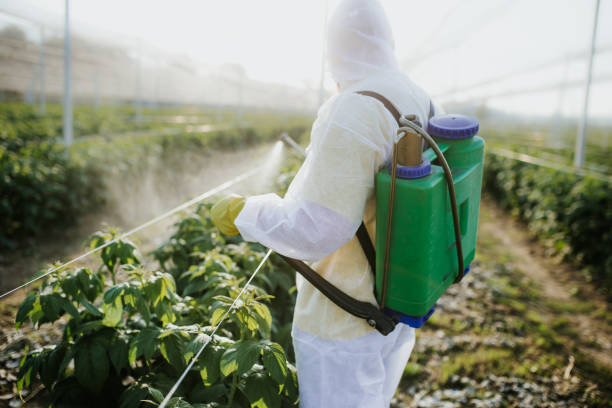  Lakemoor, IL Pest Control Pros